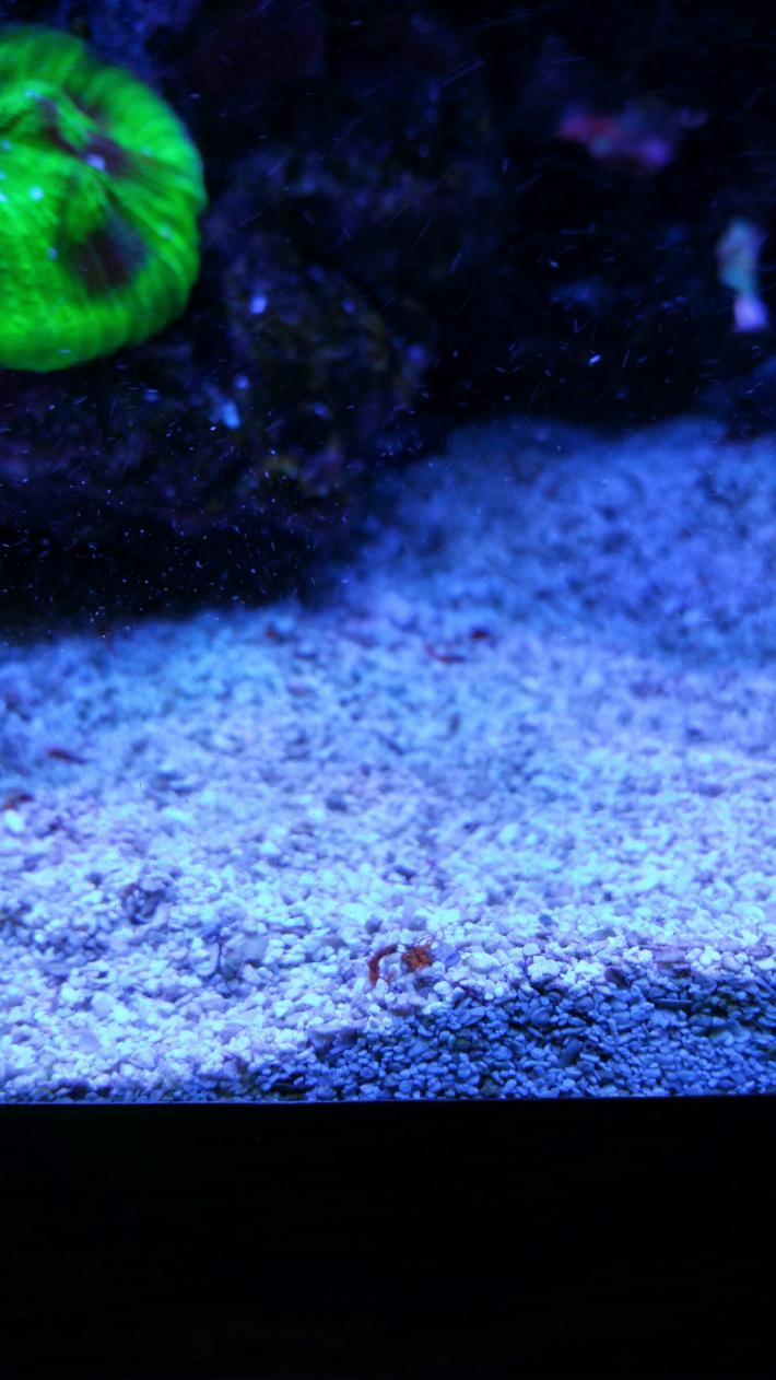 20150422_165225.jpg