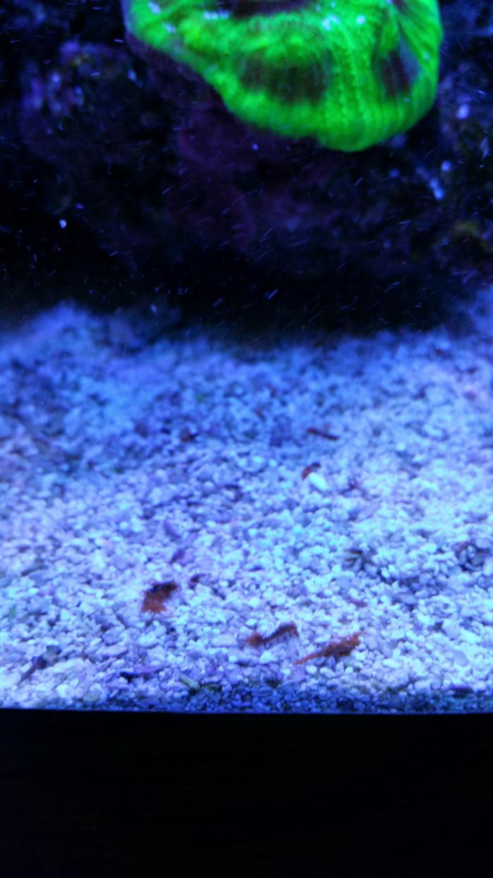 20150422_165230.jpg