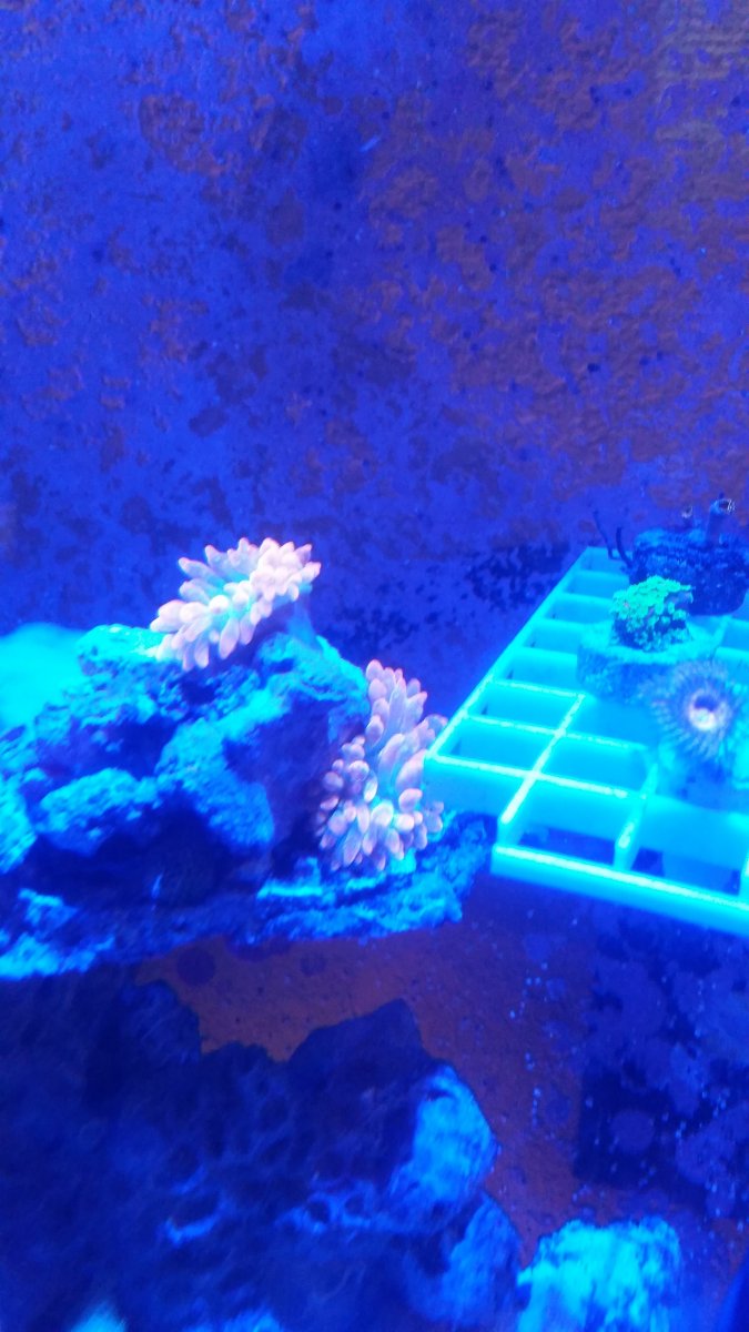 20150429_093013.jpg