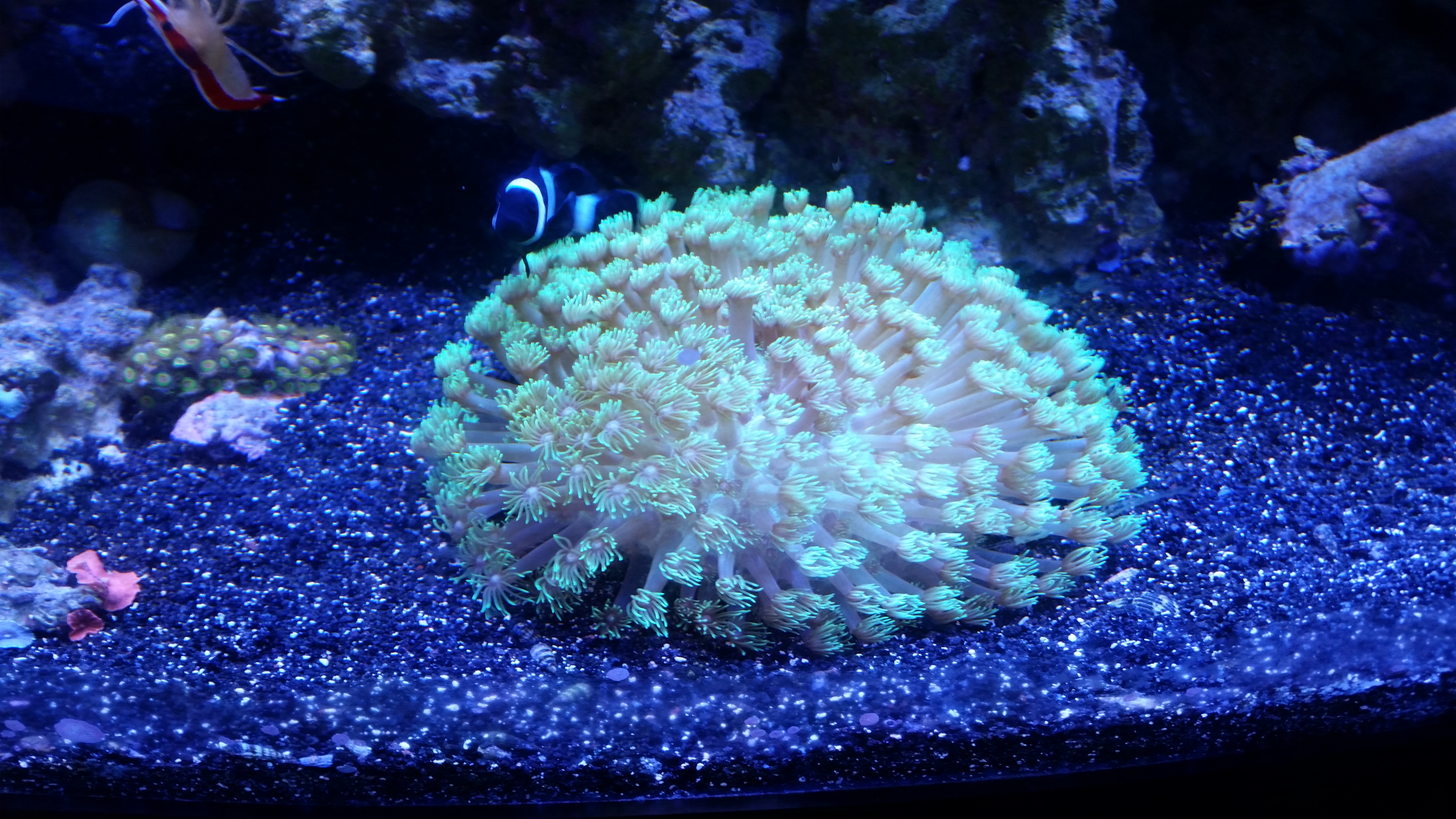 20150430_122950.jpg