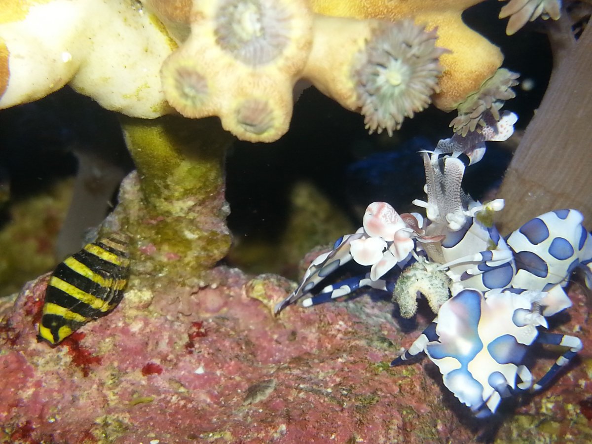 20150522_201317.jpg