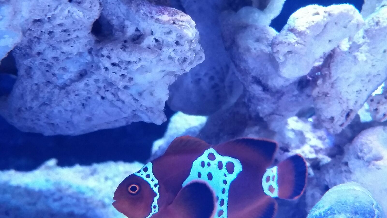 20150525_163650.jpeg