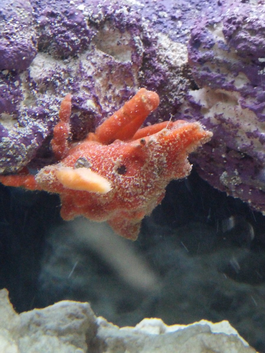 20150604_211019.jpg