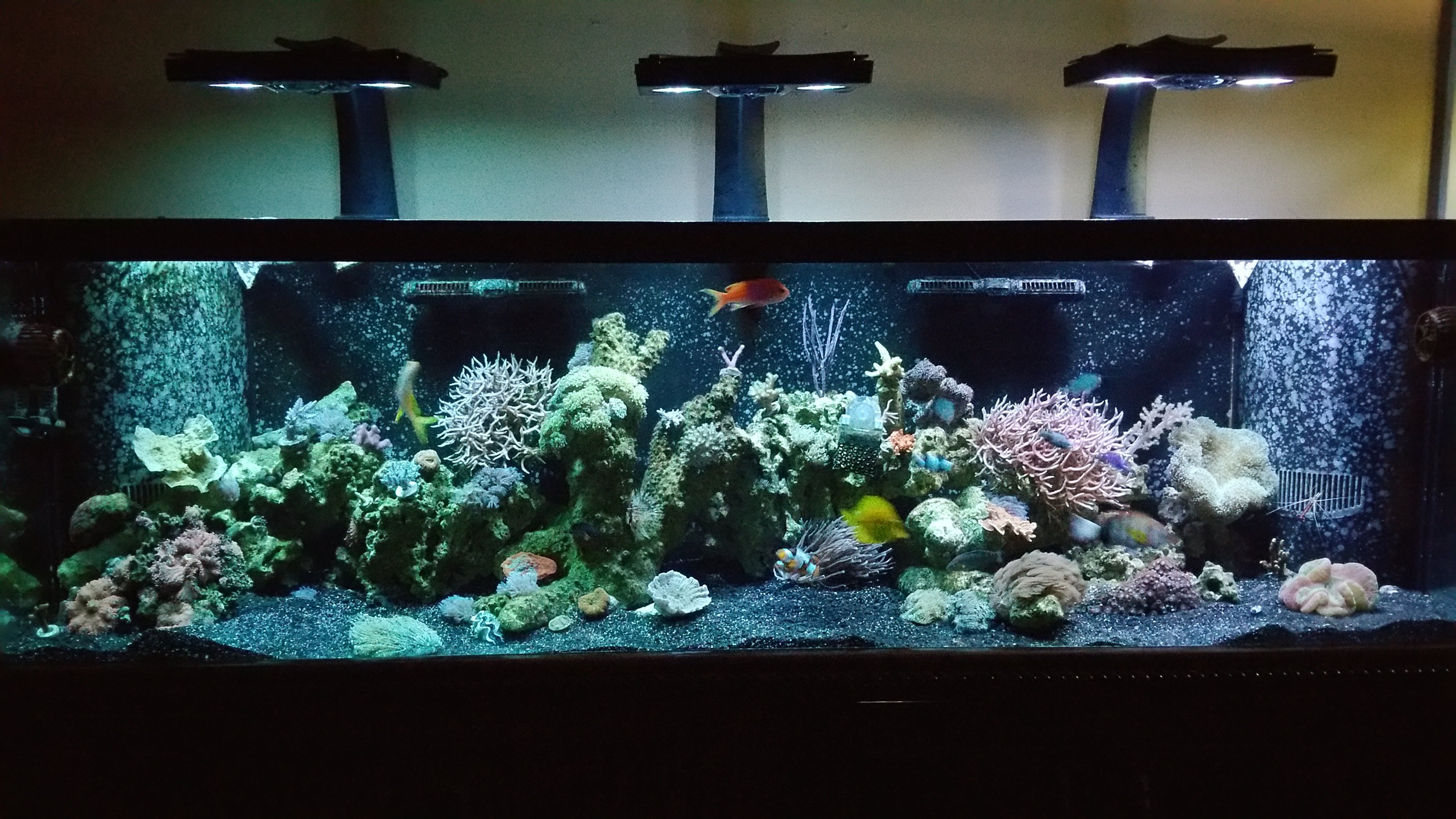 20150617_073940.jpg
