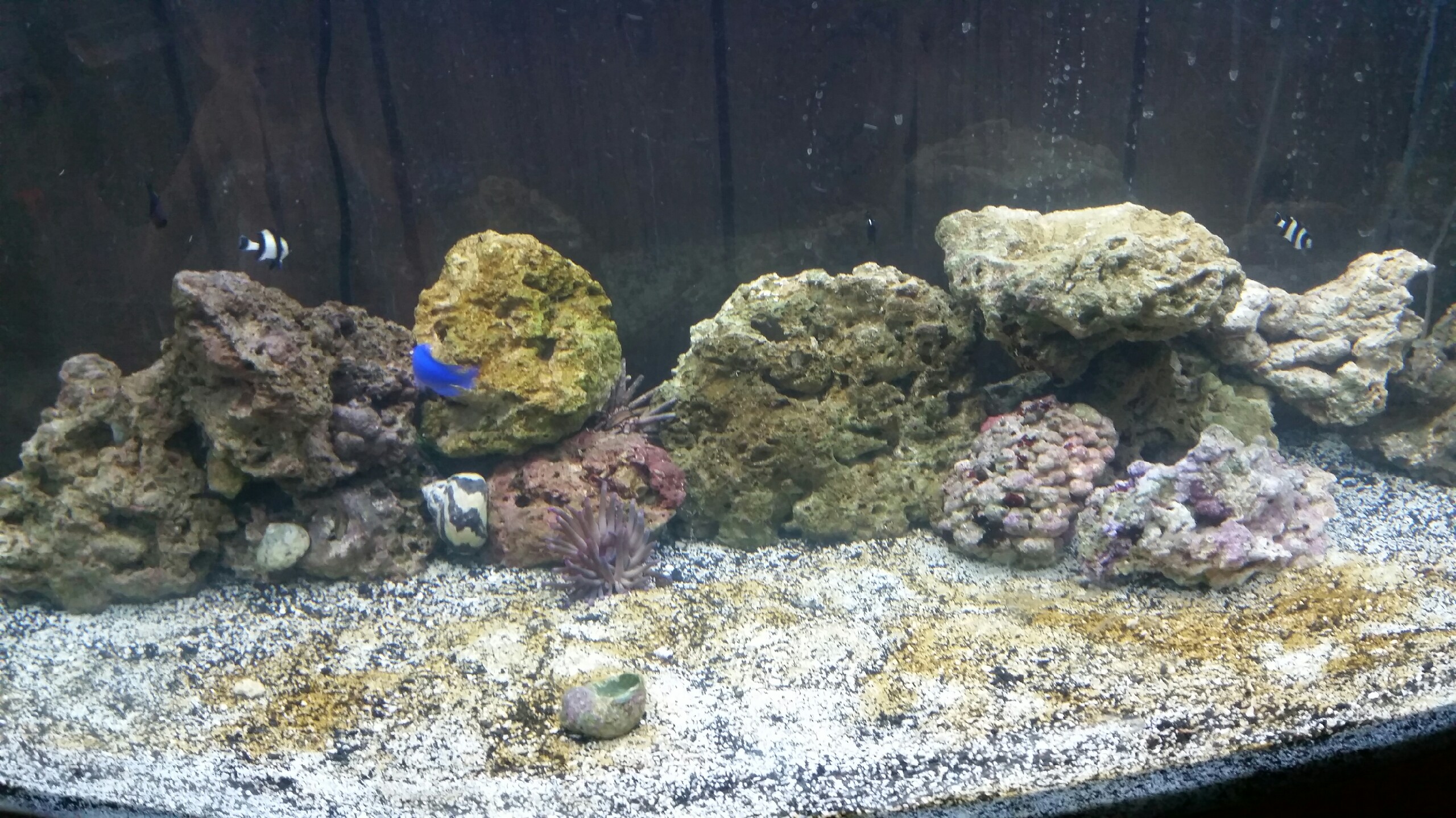 20150701_111806.jpeg