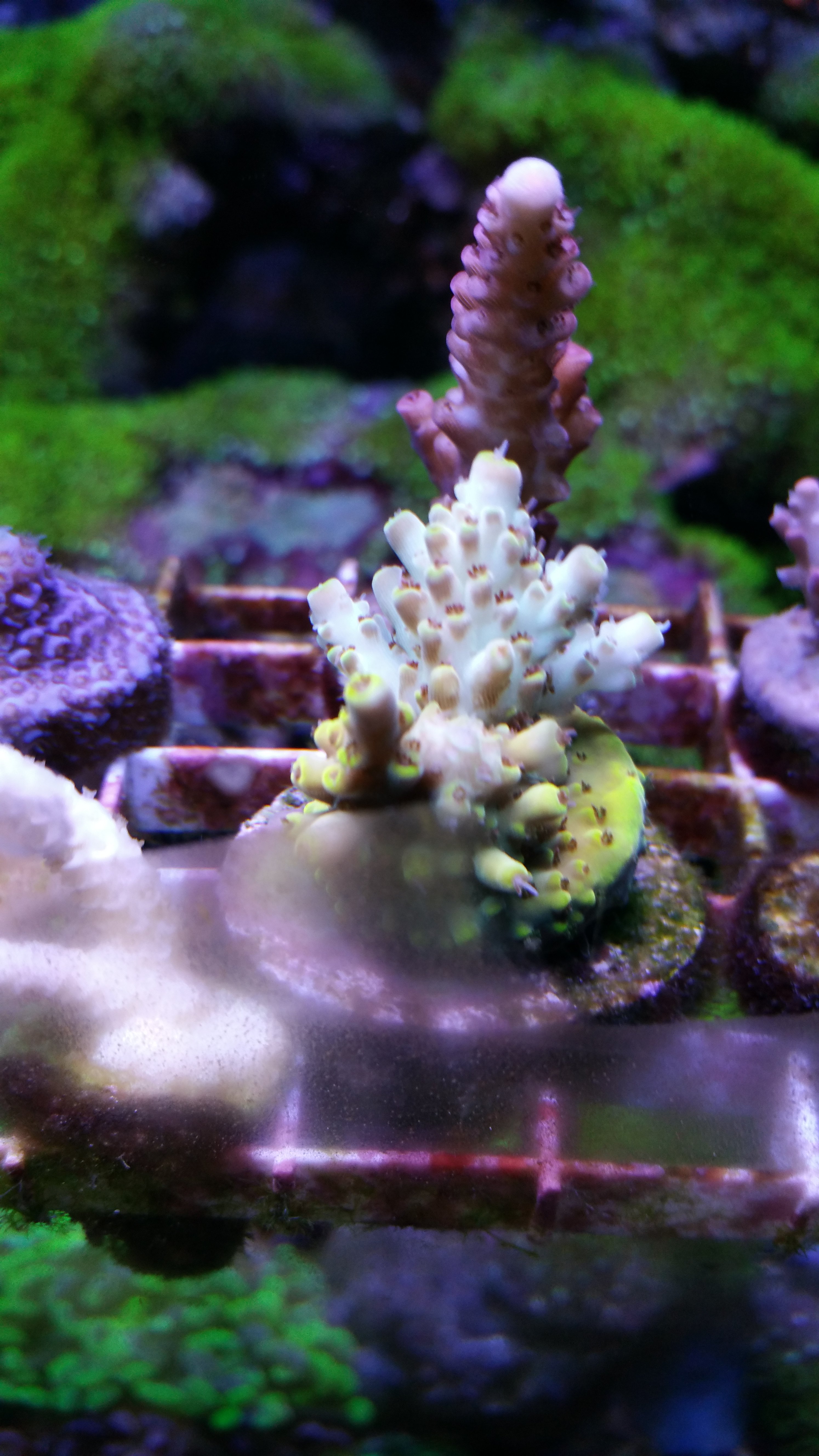 20150701_211332.jpg