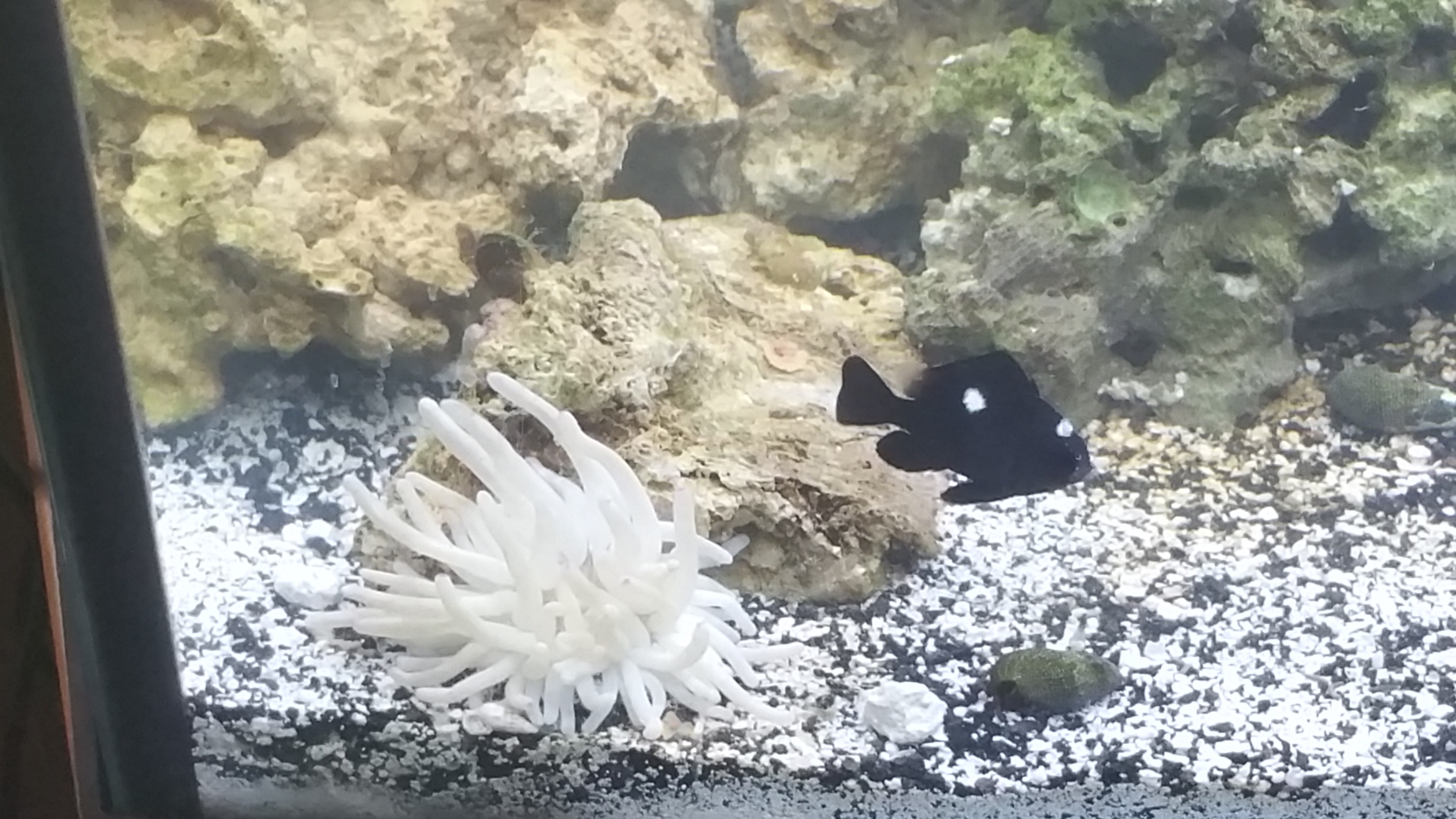 20150704_091457.jpg