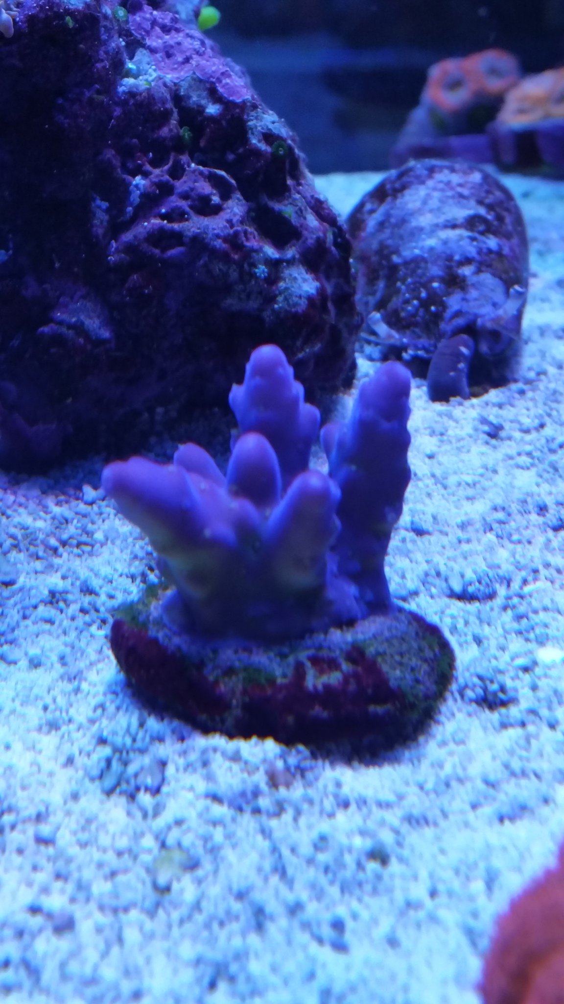 20150709_222850.jpg