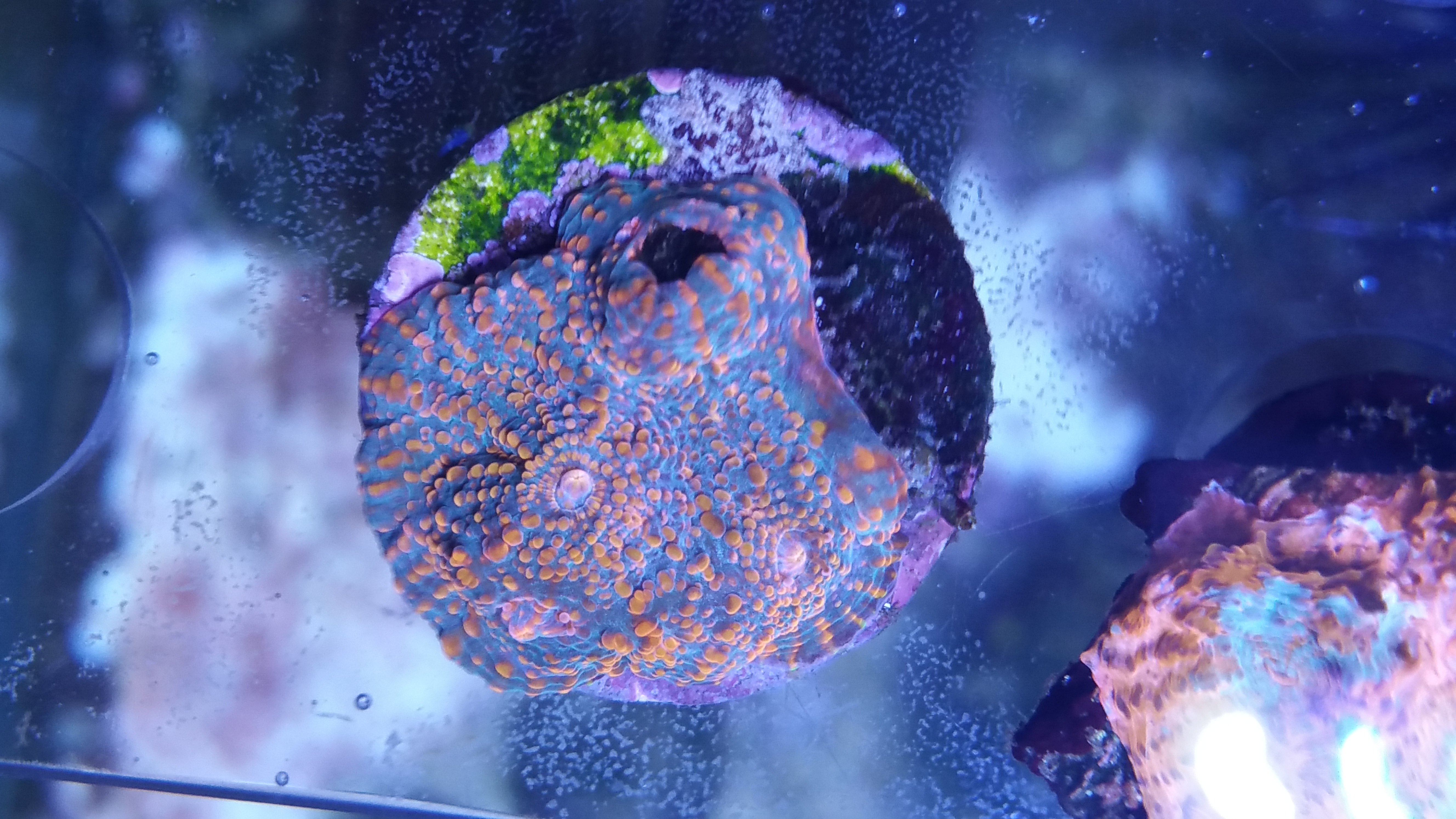 20150719_220057.jpg