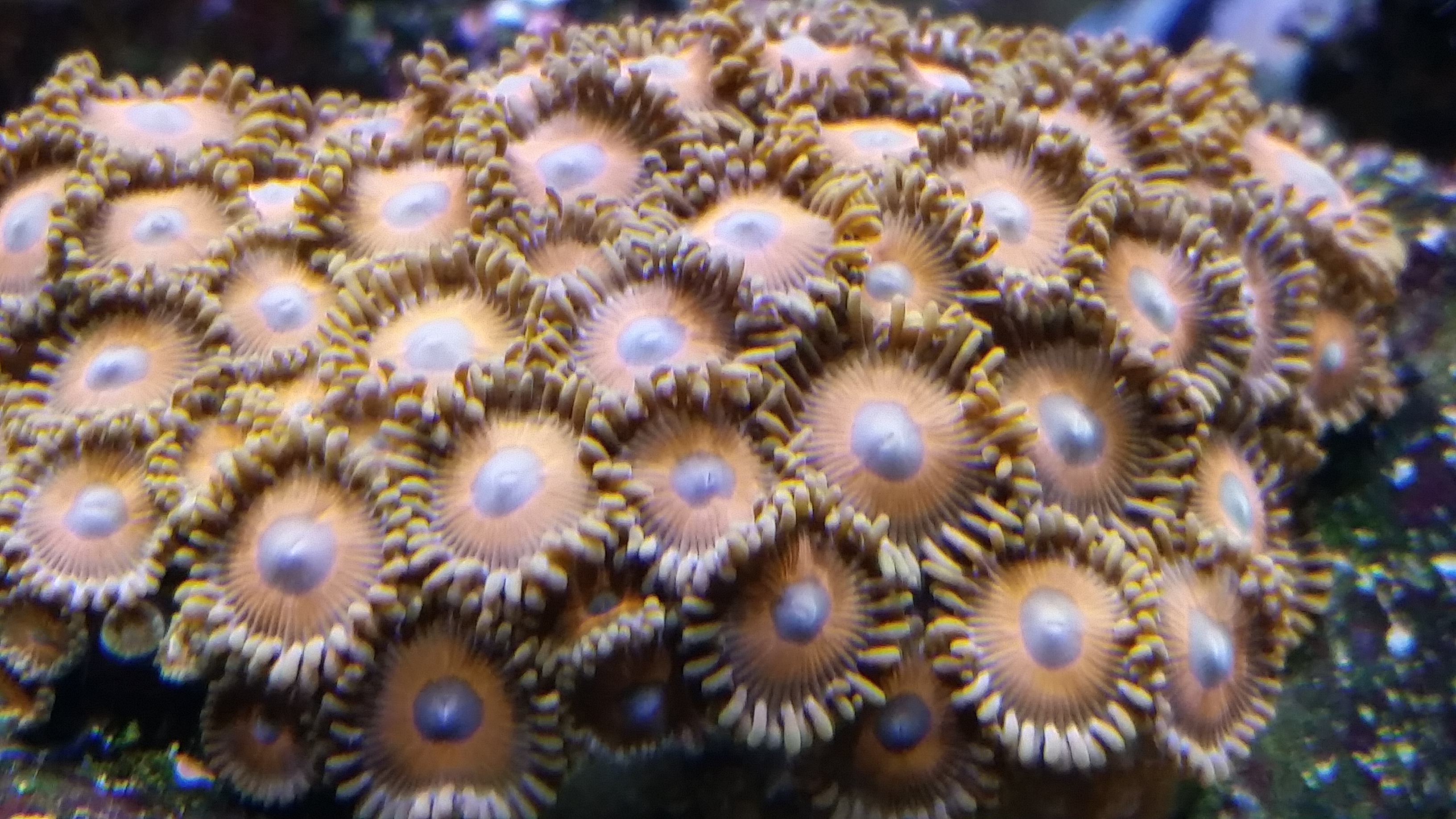 20150803_123732.jpg