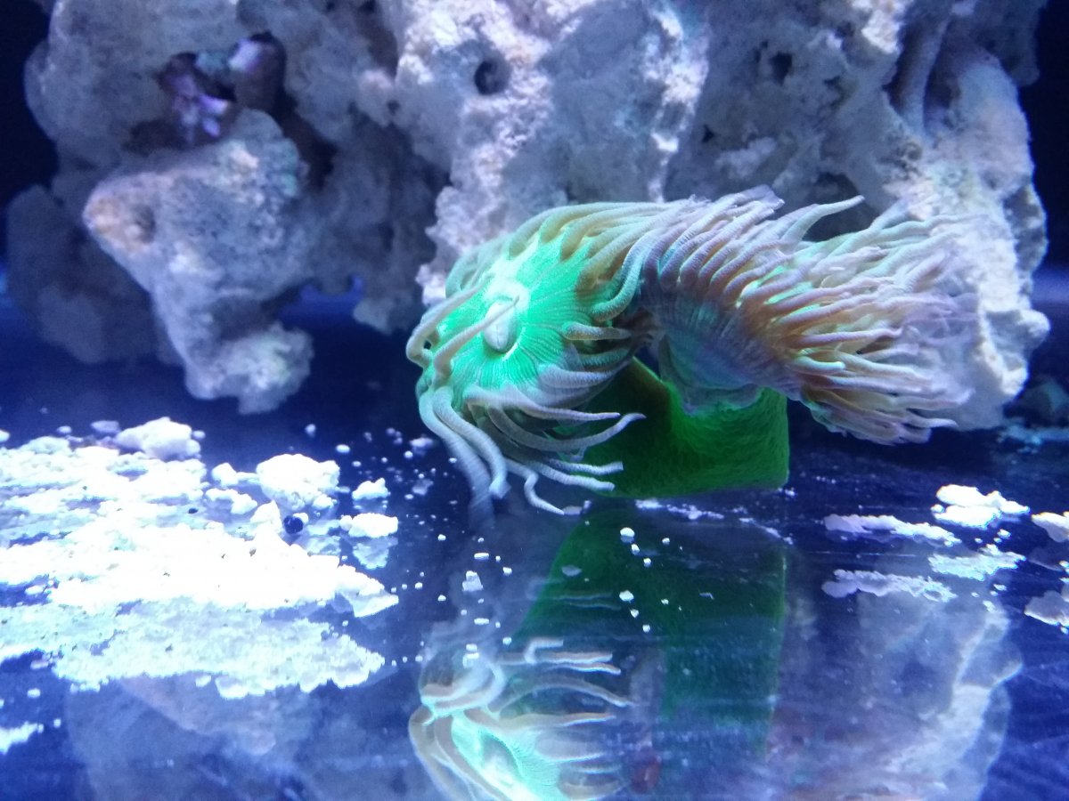20150816_163326.jpg
