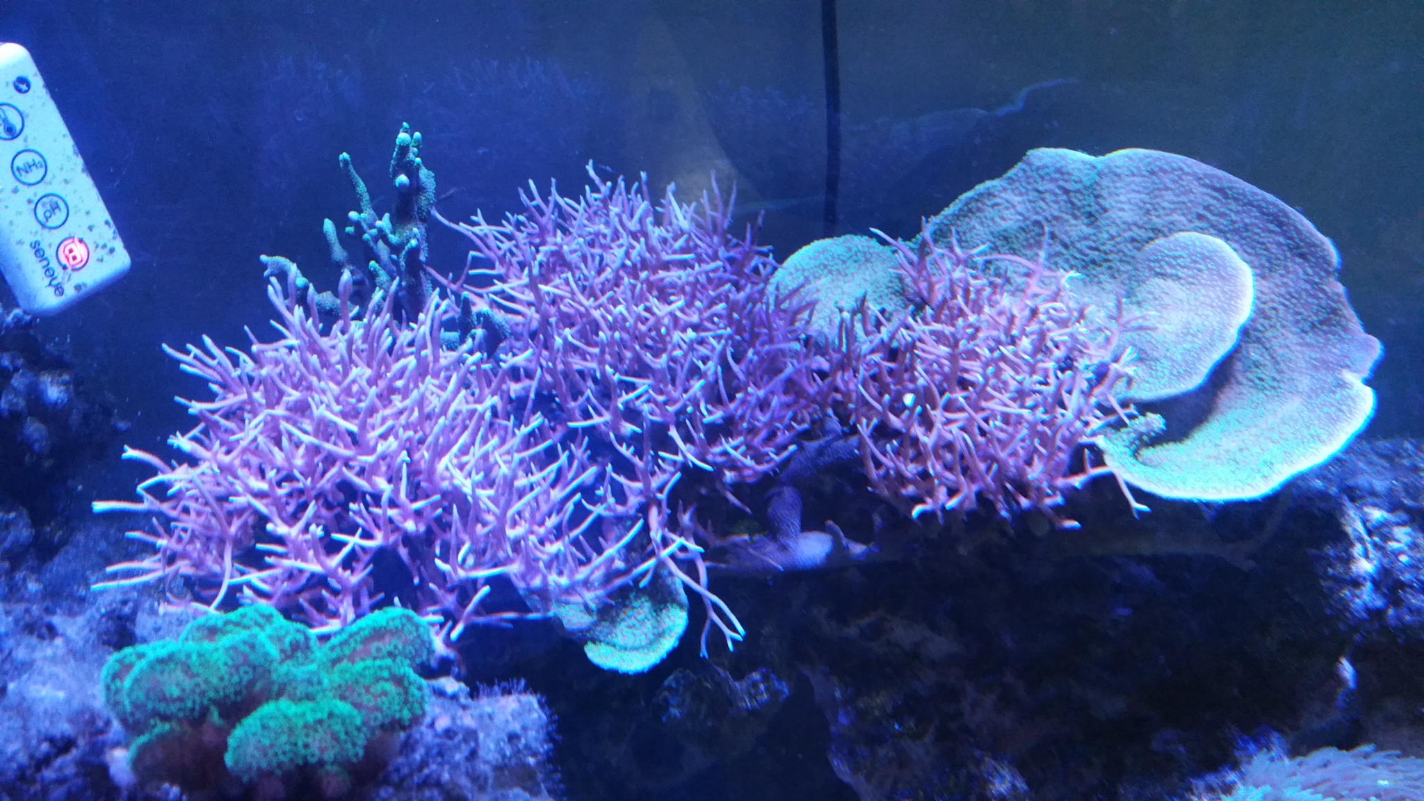 20150822_161014.jpg