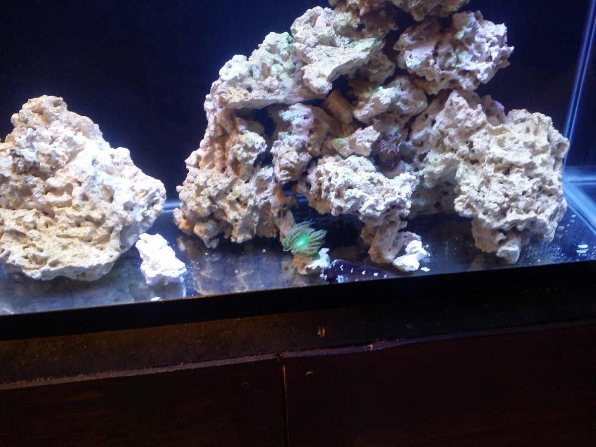 20150823_204336.jpg