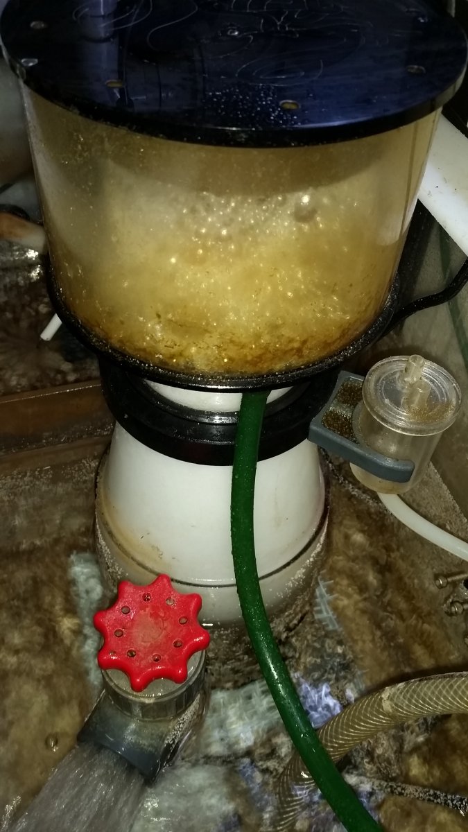 20150826_064147.jpg