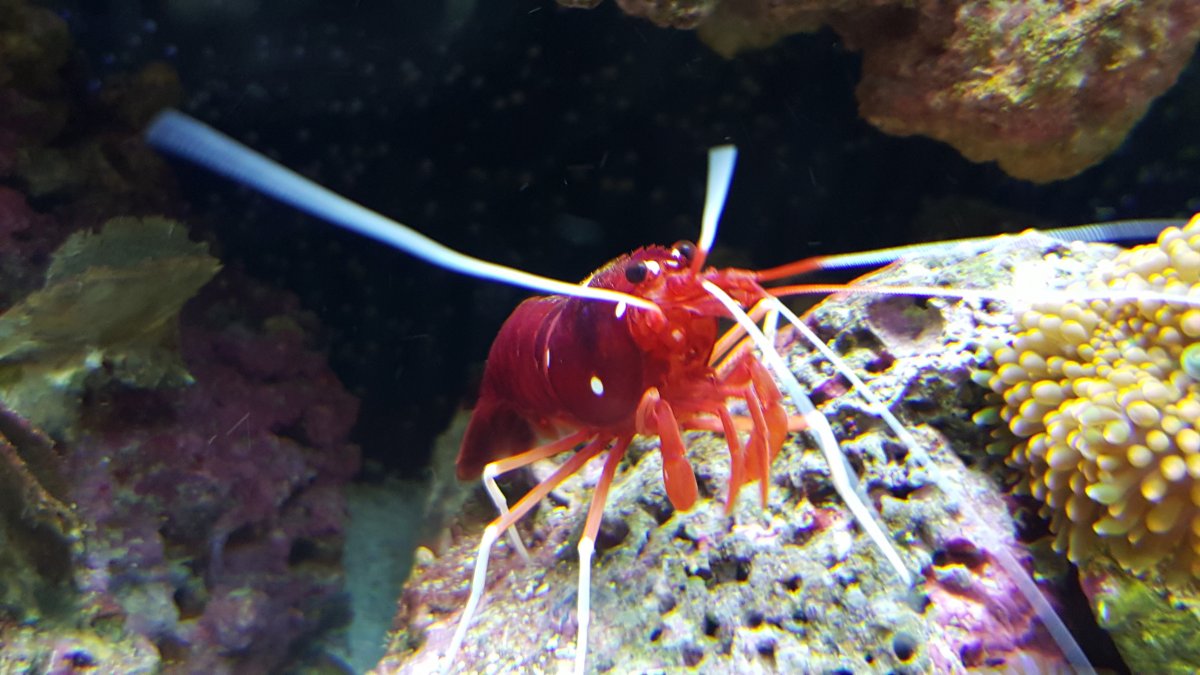 20150828_153212.jpg
