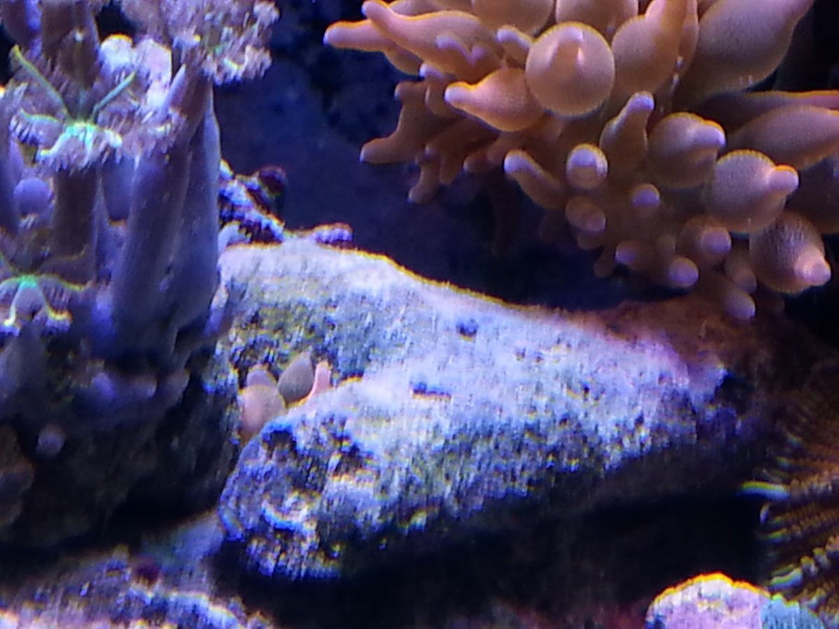 20150902_131256.jpg