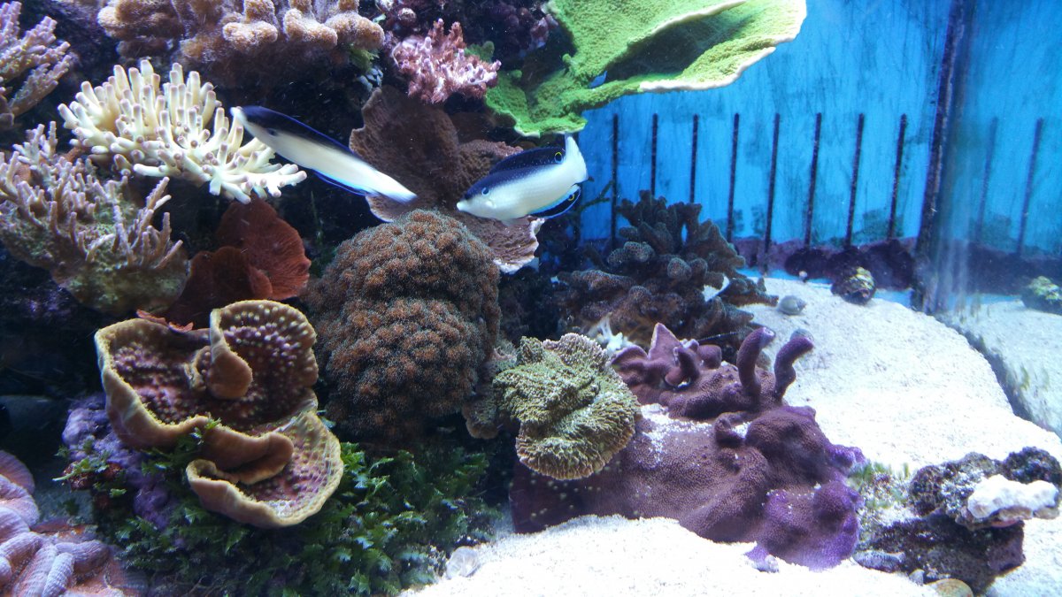 20150903_173633.jpg