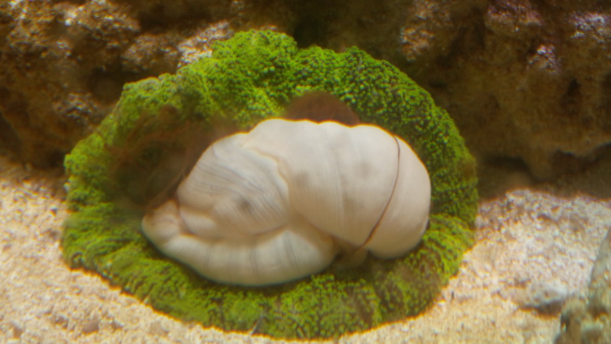 20150921_041306.jpg