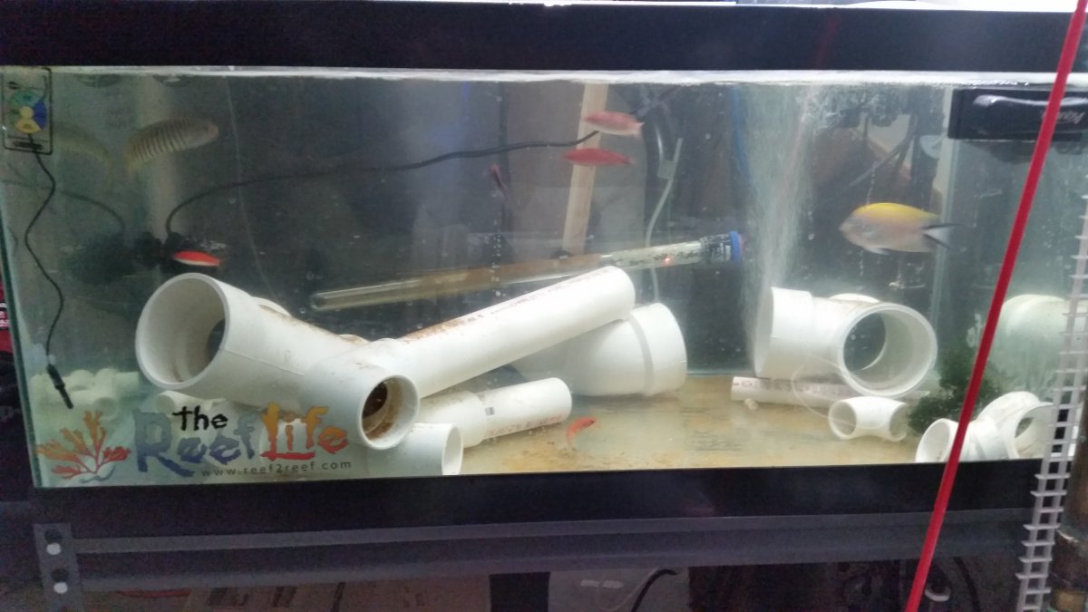 20150926_193232.jpg