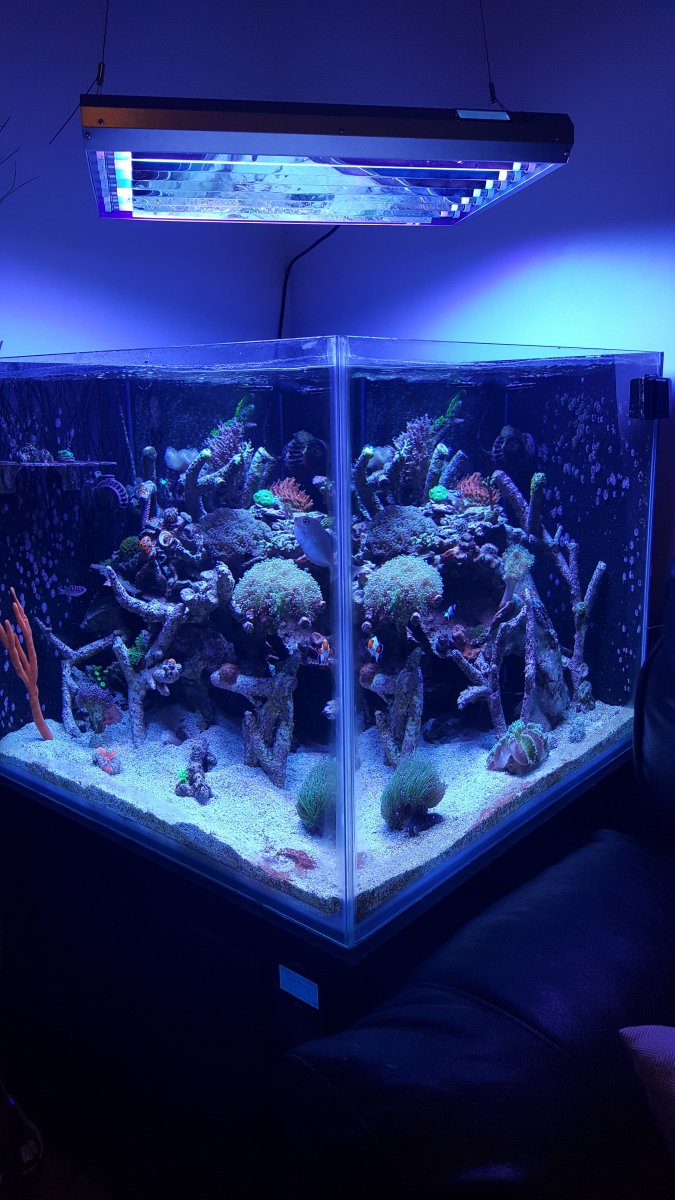 20150927_173643.jpg