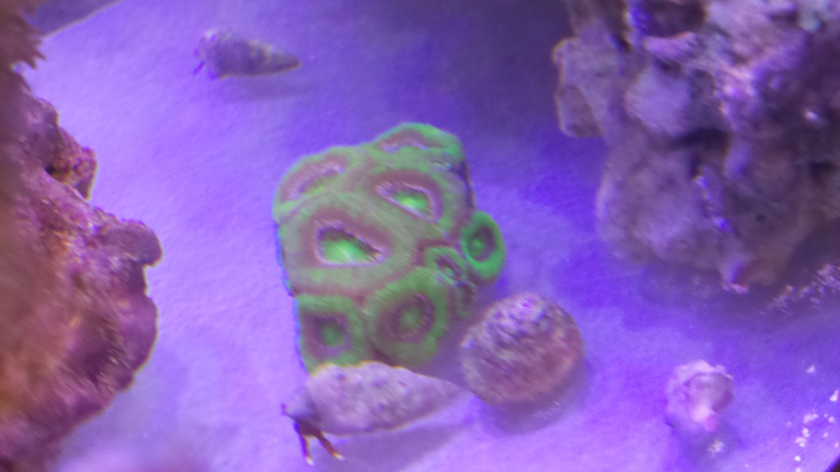 20151002_055458.jpg