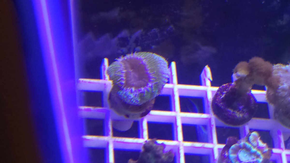20151002_055542.jpg