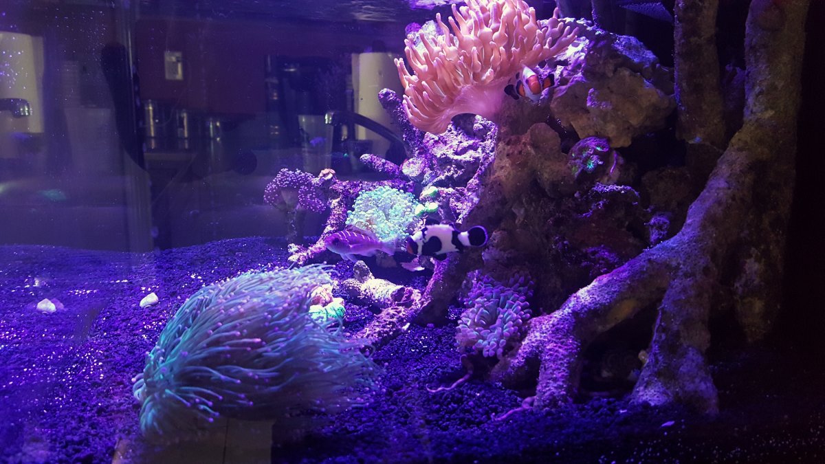 20151014_165850-01.jpeg