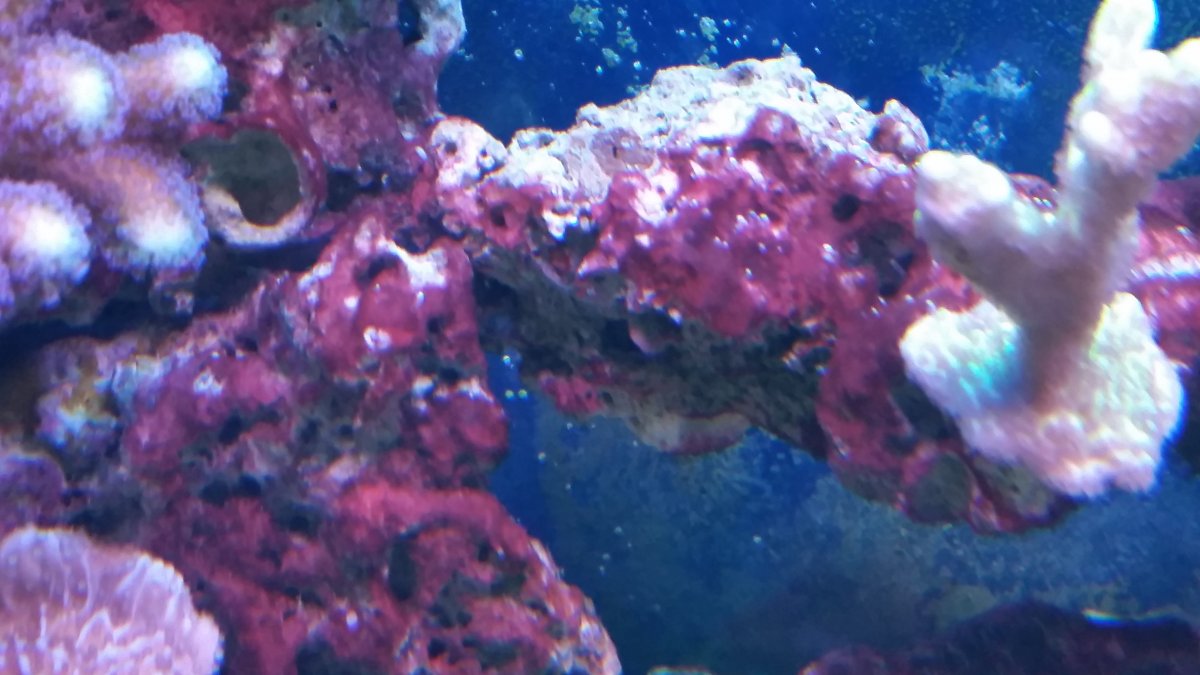 20151022_195357.jpg