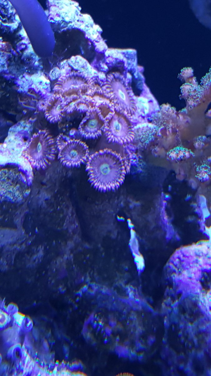 20151031_123308.jpg