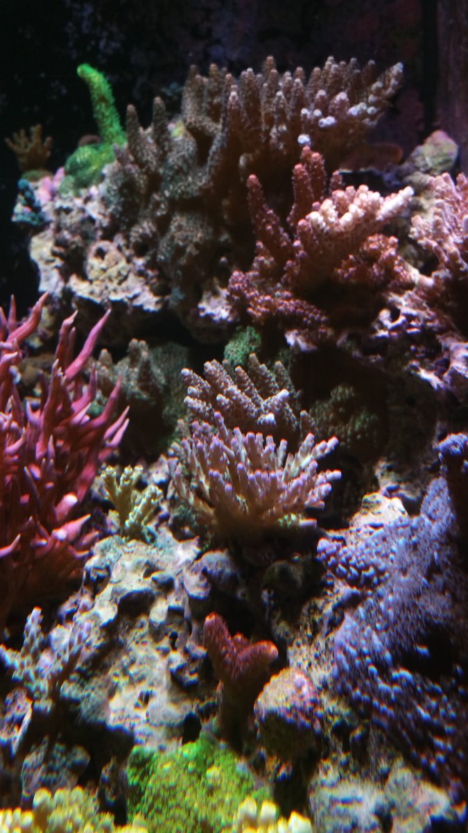 20151110_124237.jpg