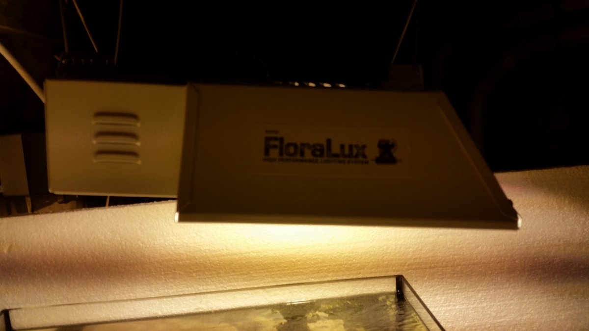 20151114_180817.jpg