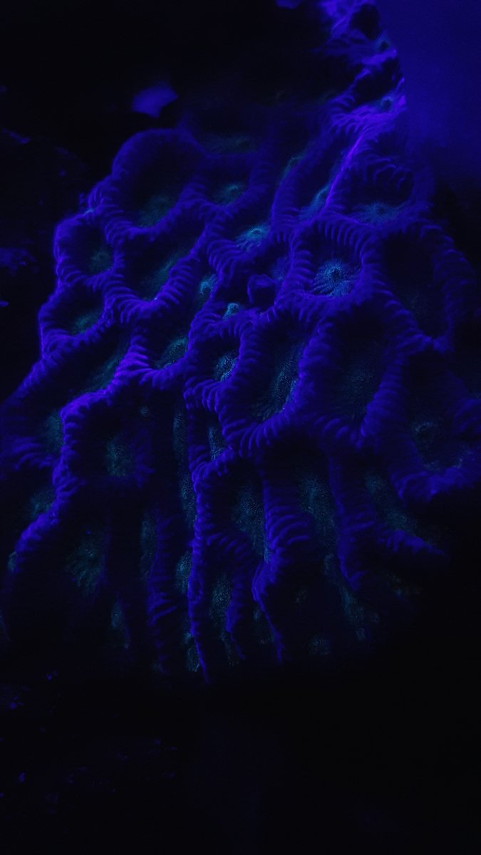 20151114_223947.jpg