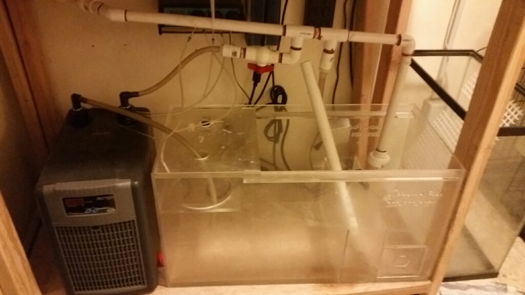 20151115_200844_resized.jpg