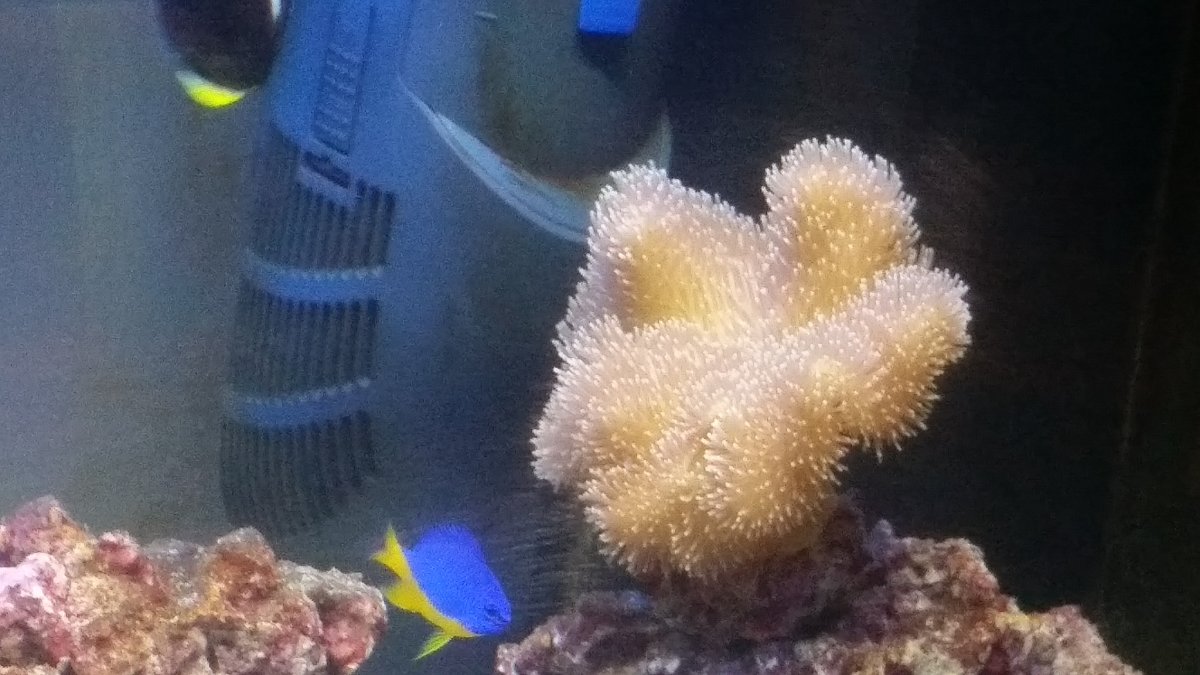 20151119_211532.jpg