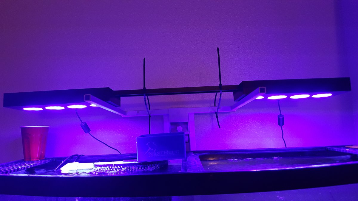 20151121_200711.jpg