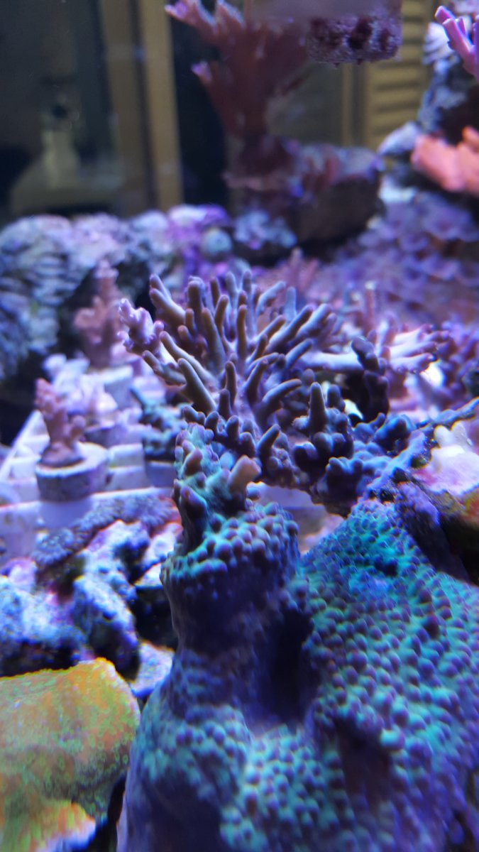 20151202_163459.jpg