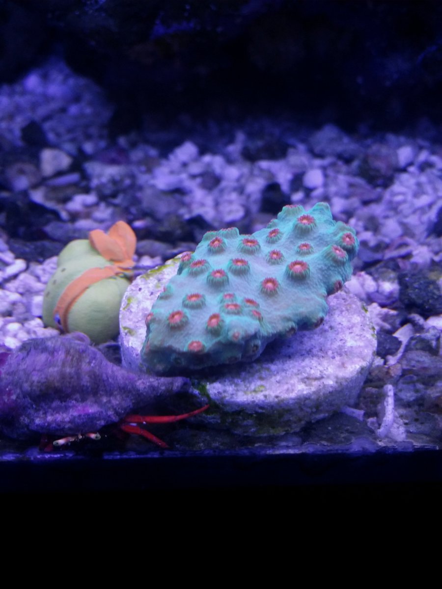 20151203_200923.jpg