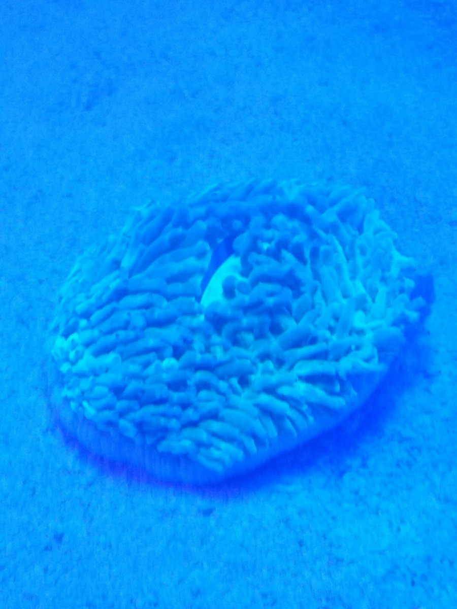 20151204_210517.jpeg