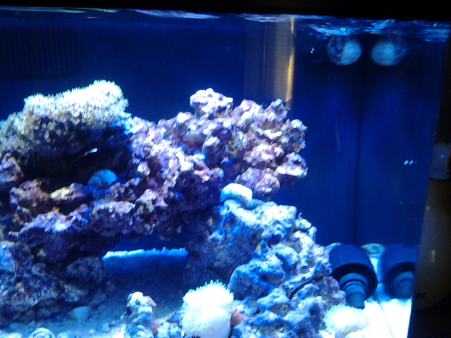 20151205_103207.jpg