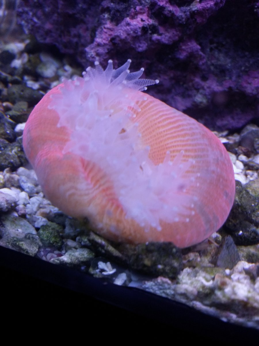 20151205_203225.jpg