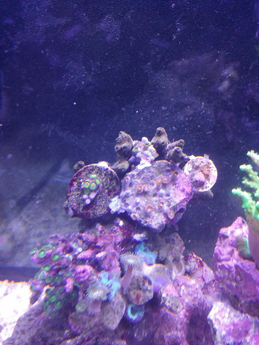 20151205_203328.jpg