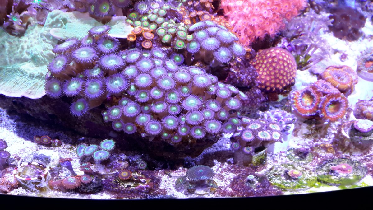 20151205_210935.jpg