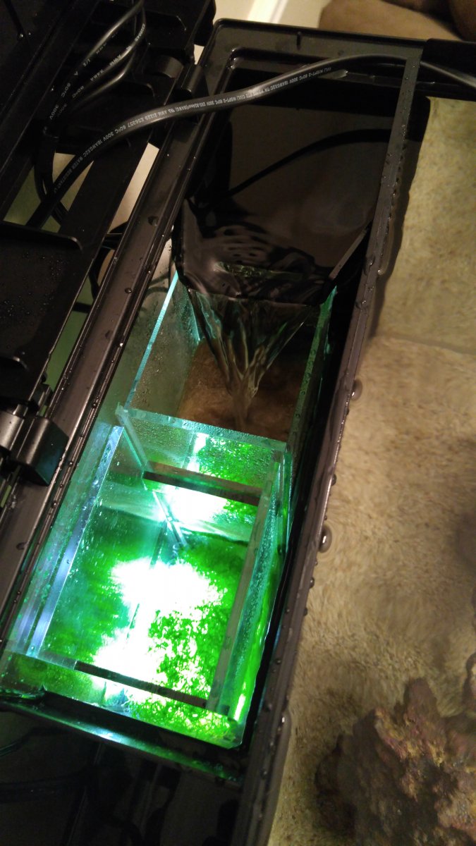 20151209_072358.jpg