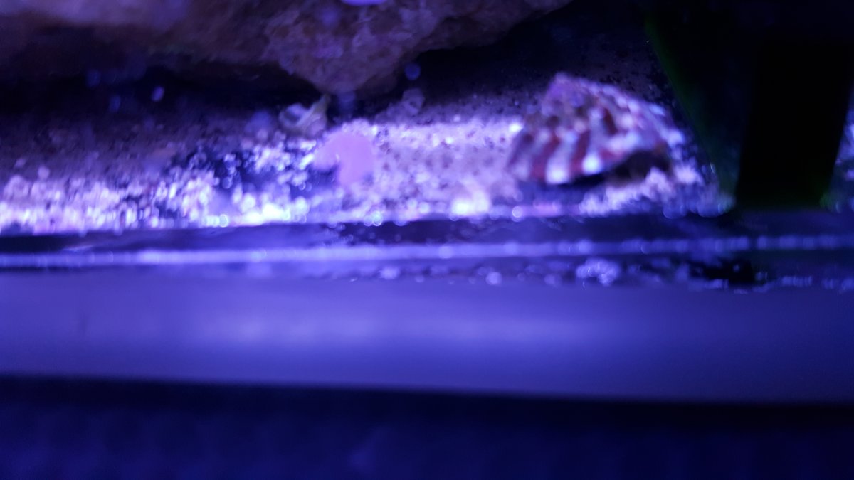 20151209_222137.jpg
