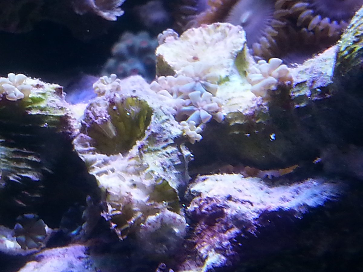20151224_173232.jpg