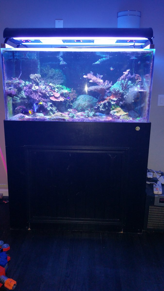 20151228_170441.jpg