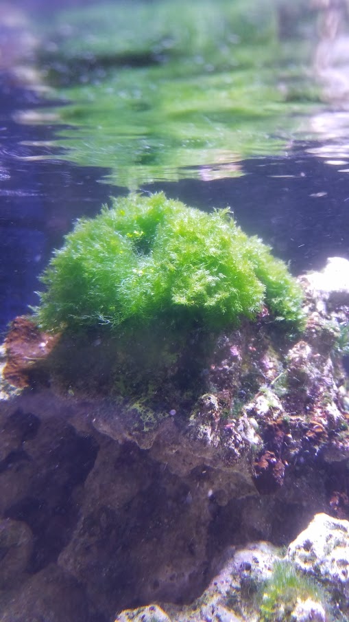 2016-06-03.jpg