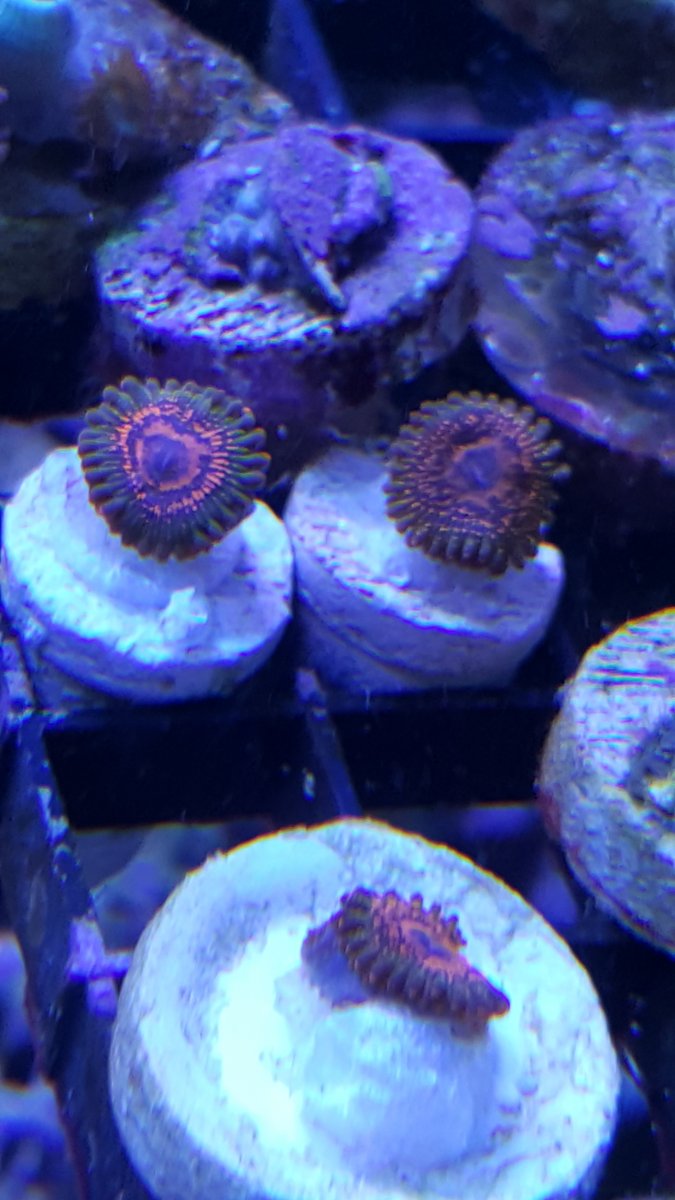20160103_100442.jpg
