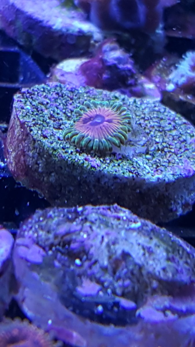 20160103_100511.jpg