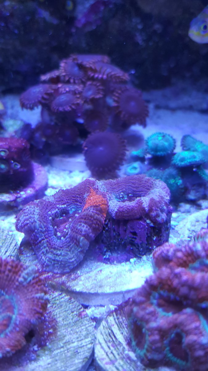 20160103_135424.jpg